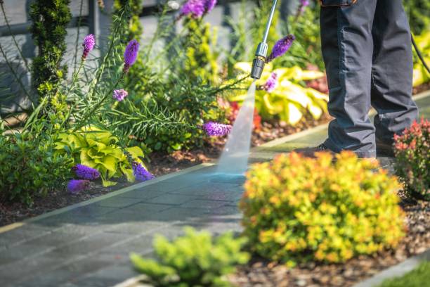 Professional Pressure Washing in Carrabelle, FL